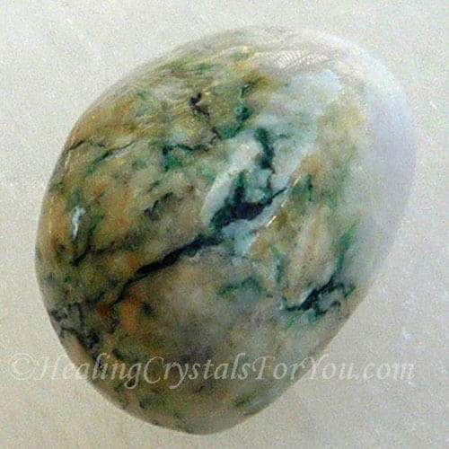 Mariposite Mariposite