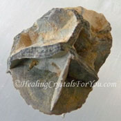 Melikaria Melikaria