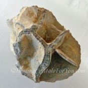 Melikaria Melikaria