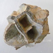 Melikaria Melikaria