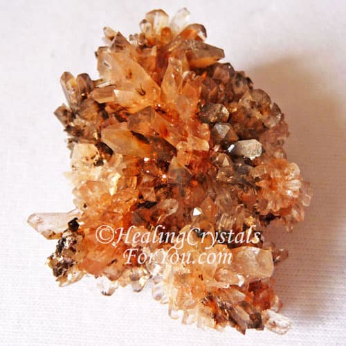 Orange Creedite