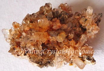 Orange Creedite Orange Creedite
