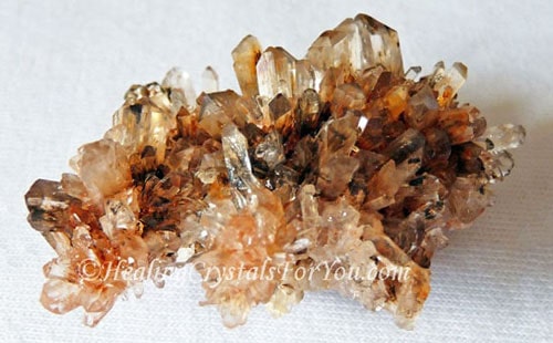 Orange Creedite