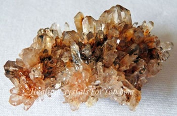 Orange Creedite Orange Creedite