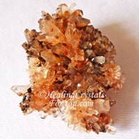 Creedite