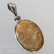 Orange Plume Agate Pendant
