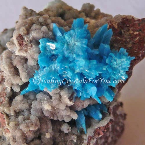 Pentagonite Pentagonite