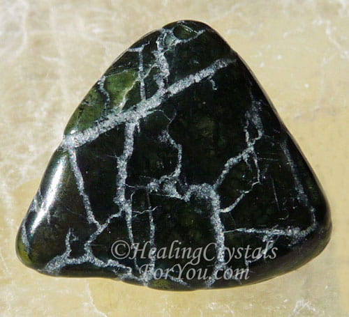 Peridot with Magnetite & Chromite