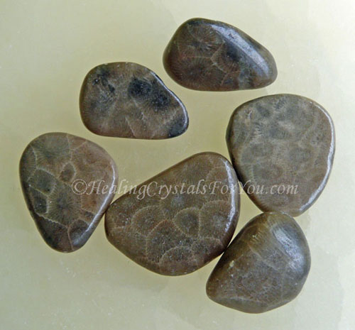 Petoskey Stone Petoskey Stone