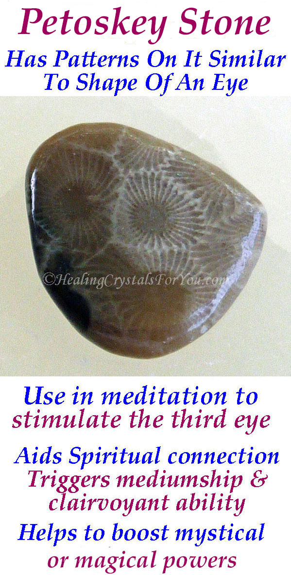 Petoskey Stone Meaning Properties And Powers
