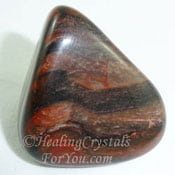 Petrified Wood