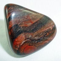 Petrified Wood