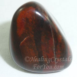 Petrified Wood Petrified Wood