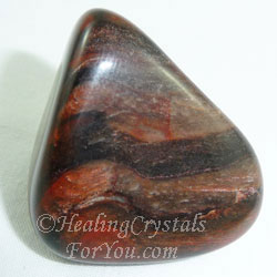 Petrified Wood