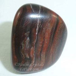 Petrified Wood Petrified Wood