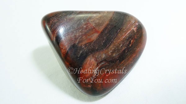 Details about   Petrified Wood Jasper Crystal Stone Rock Healing Crystals Reiki Yoga 3" ZENDA 