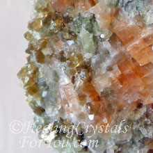 Phlogopite Phlogopite