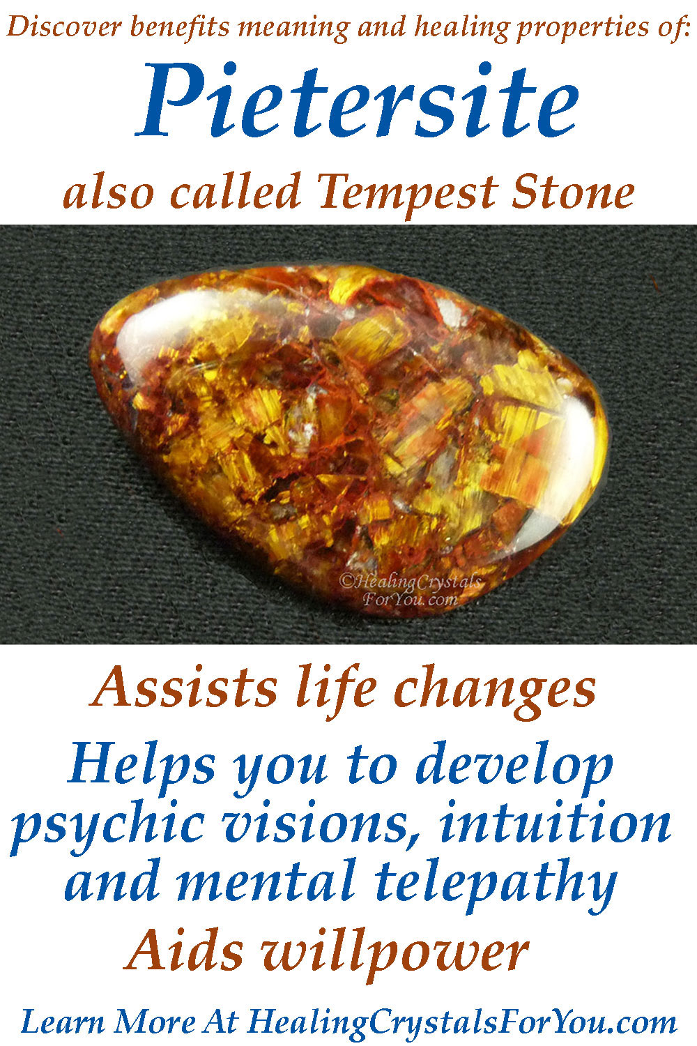 Pietersite connects to internal guidance system