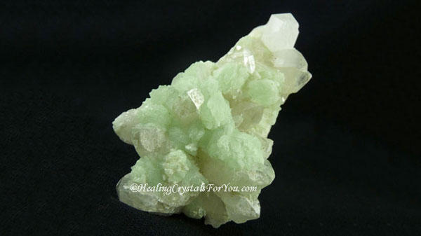 Prehnite Prehnite
