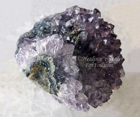 Purple and Black Amethyst Flower Purple and Black Amethyst Flower