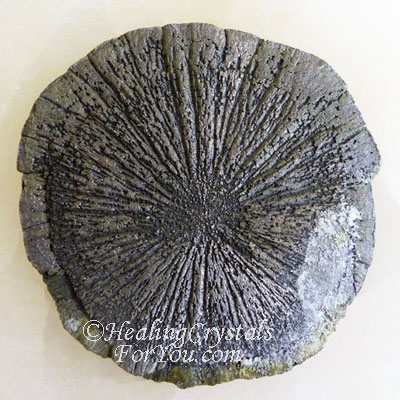 Pyrite Sun Disk Pyrite Sun Disk