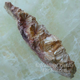 Pyrophyllite Pyrophyllite