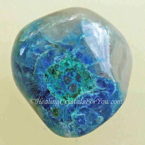 Quantum Quattro 5-500