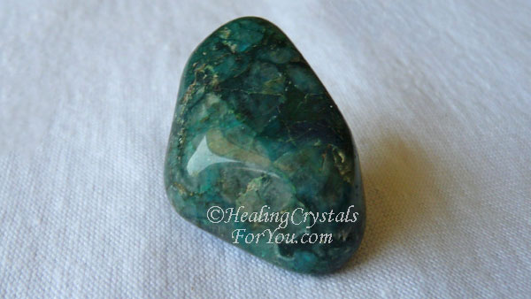 Quantum Quattro wide 3