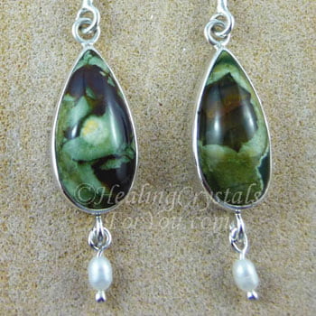 Rainforest Jasper Earrings Pin de datos