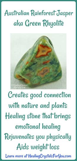 Rainforest Jasper Rainforest Jasper