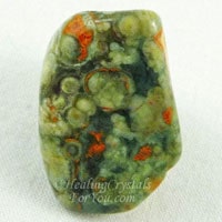 Rainforest Jasper