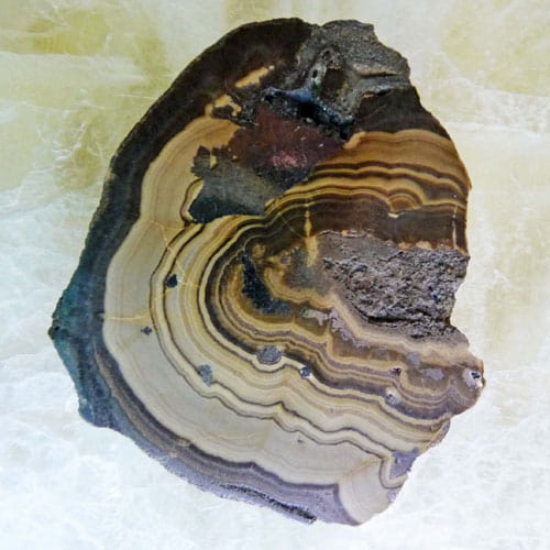 Schalenblende