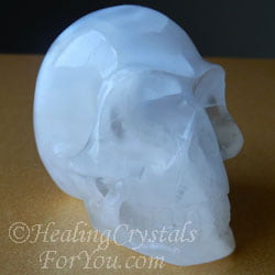 Selenite White Selenite Skull