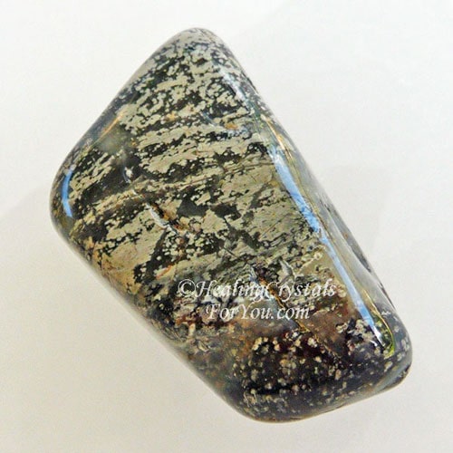 Jasper à feuilles d'argent Jasper à feuilles d'argent