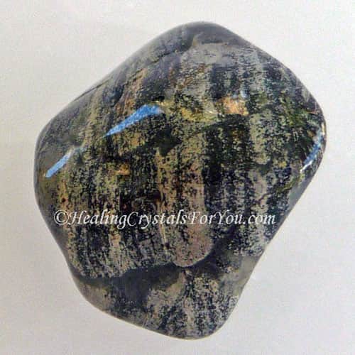 Jasper à feuilles d'argent Jasper à feuilles d'argent