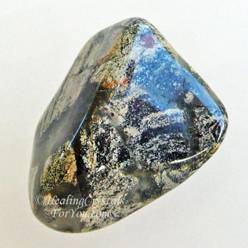 Jasper à feuilles d'argent Jasper à feuilles d'argent