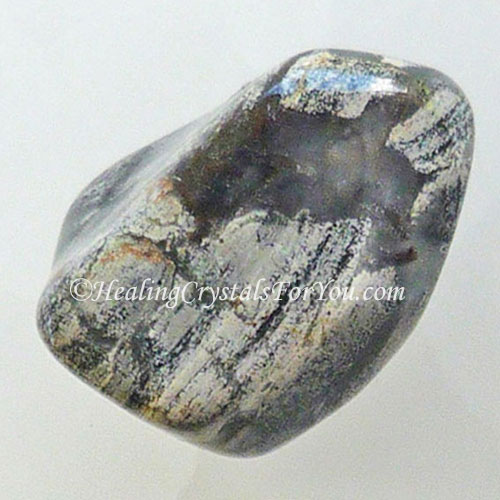 Jasper à feuilles d'argent Jasper à feuilles d'argent