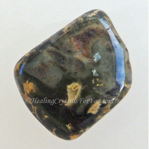Jasper à feuilles d'argent Jasper à feuilles d'argent