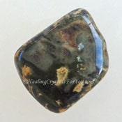 Silver Leaf Jasper