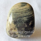 Silver Leaf Jasper Silver Leaf Jasper