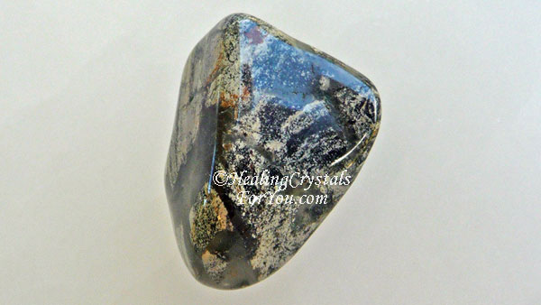 Jasper à feuilles d'argent Jasper à feuilles d'argent