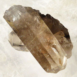Smoky Rutilated Quartz