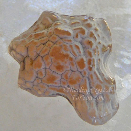 Snakeskin Agate Snakeskin Agate