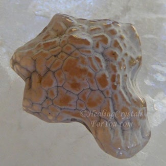 Agate peau de serpent Agate peau de serpent