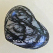 Spiderweb Jasper Spiderweb Jasper