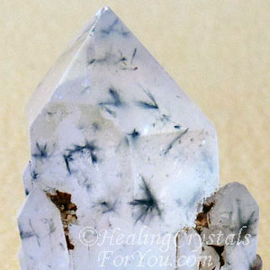 Star Hollandite Quartz Star Hollandite Quartz