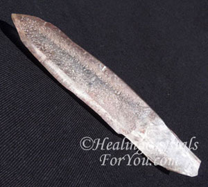 Starseed Lemurian Quartz Wand Starseed Lemurian Quartz Wand