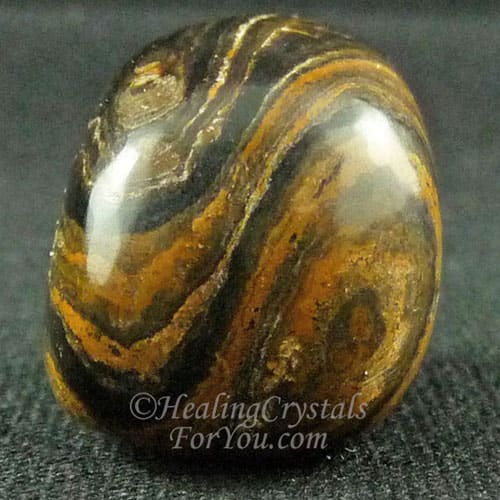 Stromatolite Stromatolite