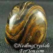 Stromatolite Stromatolite
