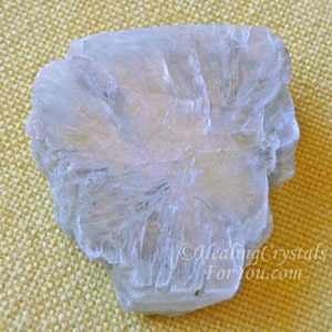 Tunellite Tunellite